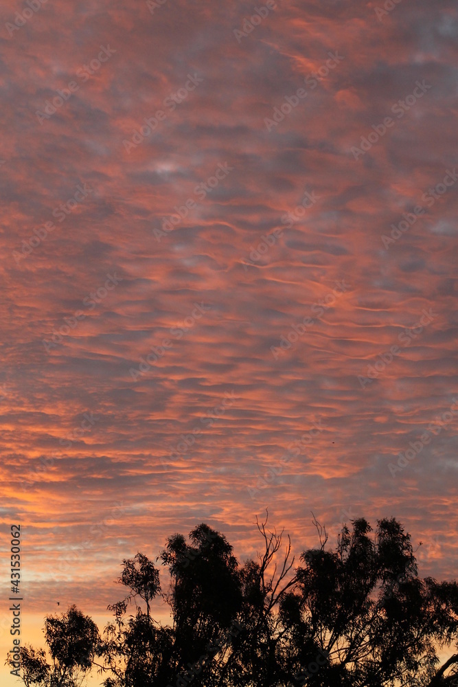 Fototapeta premium sunset and clouds' textures 