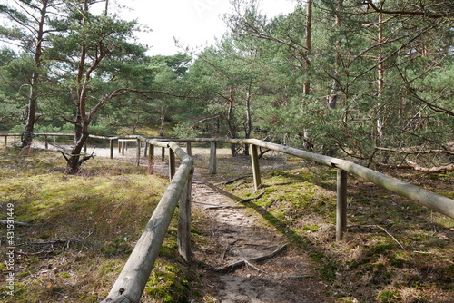 Wanderweg Stixer Wanderdüne Naturschutzgebiet Elbtalaue