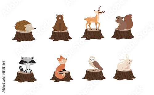 Cute woodland object collection with skunk,bear,fox,deer,stump and leaves.Vector illustration for icon,sticker,printable