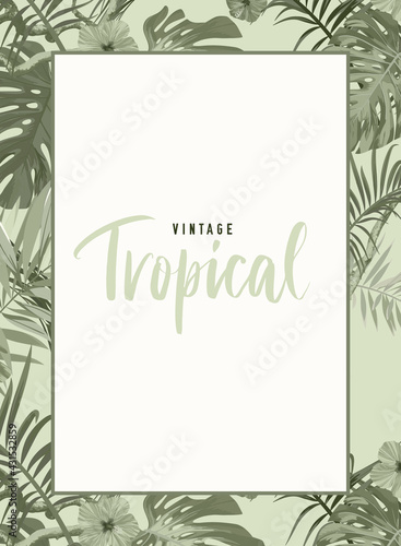 Vintage monochrome pale plive tropical design with exotic monstera and royal palm leaves and hibiscus flowers. Vector illustration.