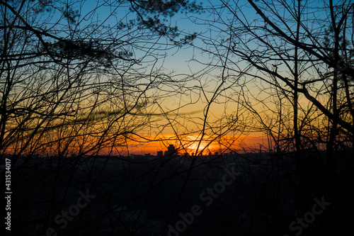 scenic view through the branches of trees at the sunset over the city