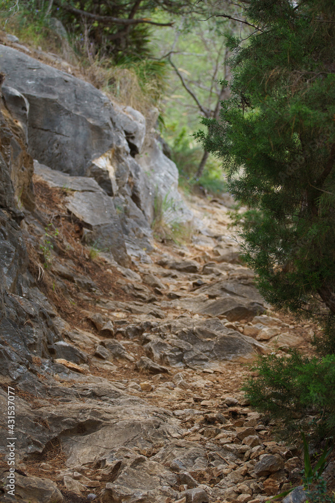 Sendero de piedra que discurre por la ladera de una montaña Sendero de piedra que discurre por la ladera de una montaña