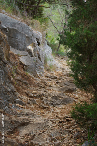 Sendero de piedra que discurre por la ladera de una montaña