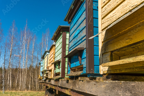 colorful vintage wooden beehives at sunny spring day © etraveler