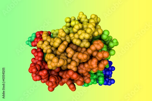 Molecular model of human anaplastic lymphoma kinase (ALK) in complex with inhibitor crizotinib. Rendering based on protein data bank entry 2XP2. Rainbow coloring from N to C. 3d illustration photo