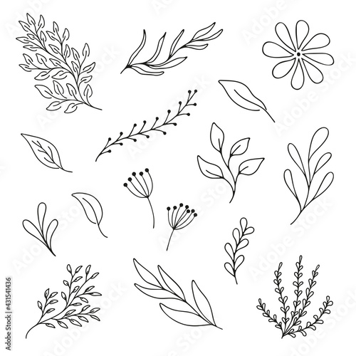 Set woodland leaves illustration. Hand draw vector collection of cute foliage. Line art. Summer and autumn design elements. Nature elements