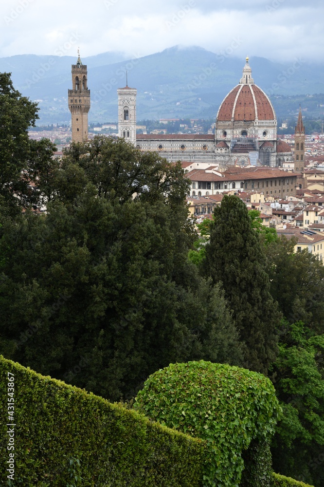 Obraz premium The Cathedral of Santa Maria del Fiore in Florence and the Palace of the Town Hall seen from Bardini garden. Italy