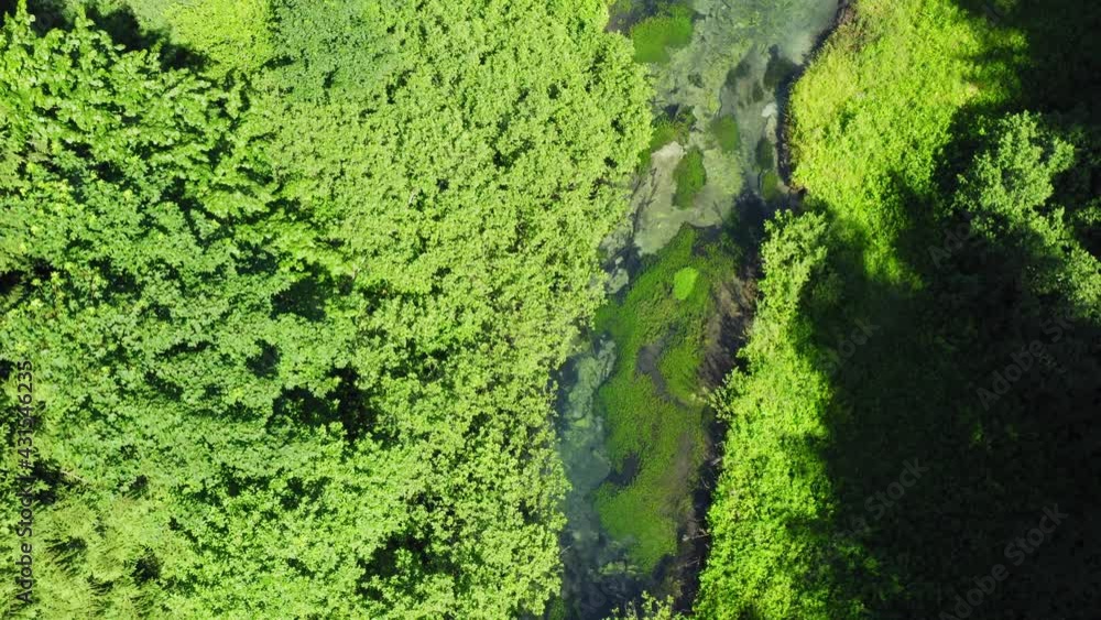 Crna rijeka stream with the rapids and rocks covered by moss, Plitvice Lakes, Croatia Crna rijeka stream with the rapids and rocks covered by moss, Plitvice Lakes, Croatia