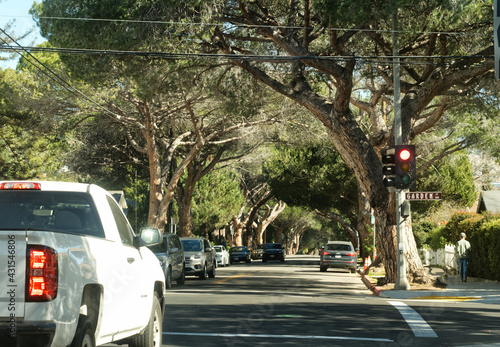 Bild auf Leinwand An intersection of a tree covered street in Santa Barbara.