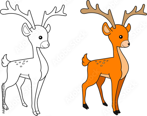 Deer vector drawing cartoon coloring for children line art and colored