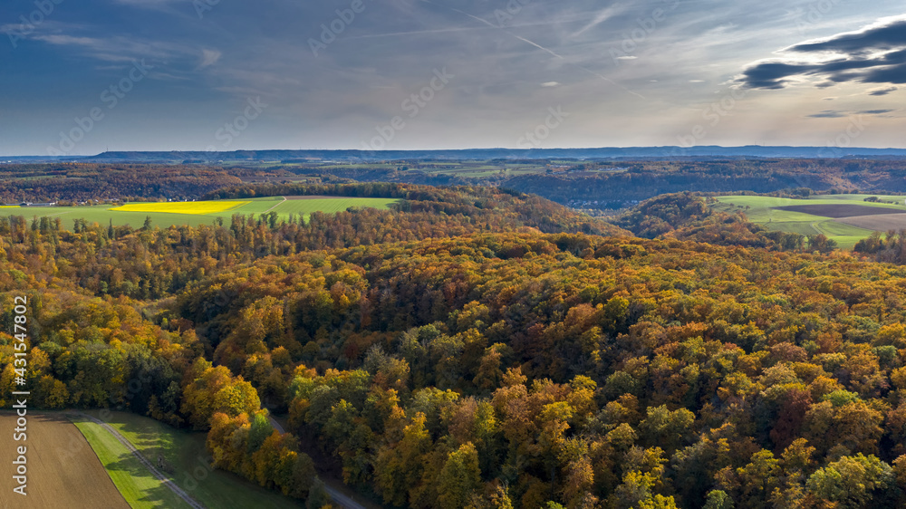 Waldlandschaft im Herbst - Luftbild