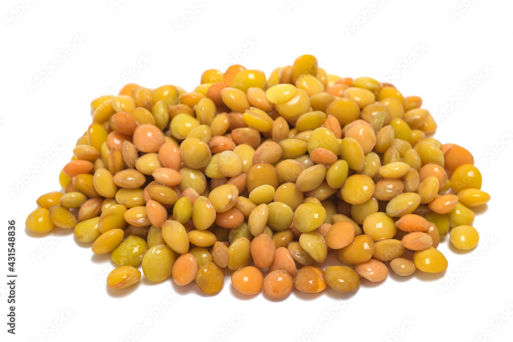 Lentils group Lentils group