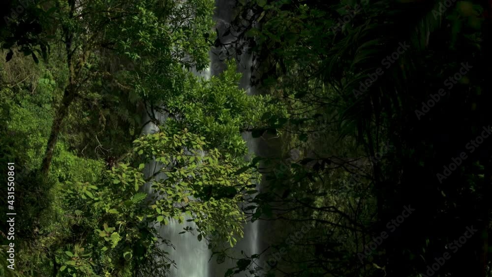 Closeup of waterfall in the cloud forest, The lost waterfalls trail, Boquete, Chiriqui province, Panama, Central America Closeup of waterfall in the cloud forest, The lost waterfalls trail, Boquete, Chiriqui province, Panama, Central America