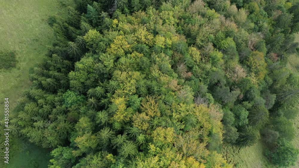 Les forêts verdoyantes au sommet d'une montagne vers Saint-Pierre-d'Entremont, dans le massif de la Chartreuse, dans les Alpes, en Isère, en Auvergne-Rhône-Alpes, en France, en été et en drone. Les forêts verdoyantes au sommet d'une montagne vers Saint-Pierre-d'Entremont, dans le massif de la Chartreuse, dans les Alpes, en Isère, en Auvergne-Rhône-Alpes, en France, en été et en drone.