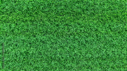 Green grass background field area It is a grass that looks short, cut evenly, making it suitable for wallpapering in design. And graphics