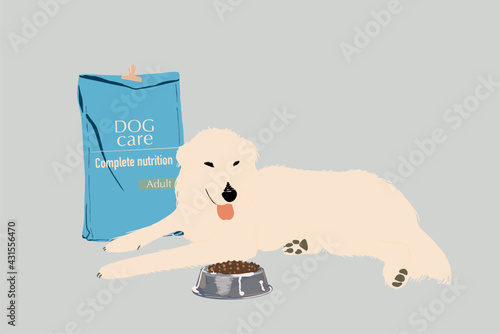 Domestic dog lying next to full dry food bowl and bag package. Pet meal advertisement template. Flat style. Vector illustration