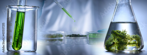 science technology research...