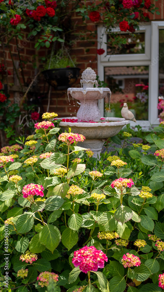 stone water fountain surrounded by flowers in sunlight stone water fountain surrounded by flowers in sunlight