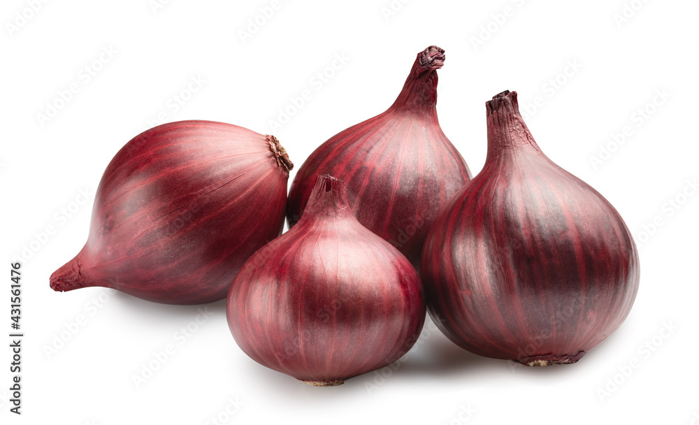 red onion isolated on white. Entire image in sharpness.