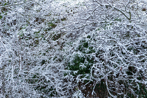 NIEVE EN PIEDRAHITA AÑO 2021 photo