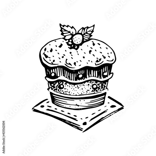 Cupcake or muffin hand drawn vector illustration
