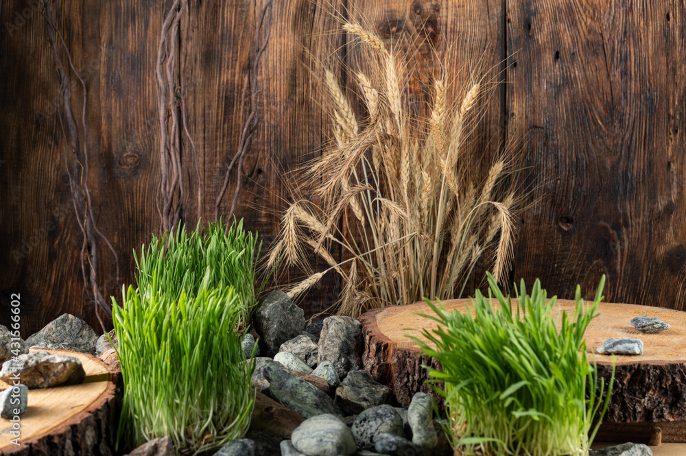 A podium made of a wooden stump, stones and grass. Podium for advertising items. A podium made of a wooden stump, stones and grass. Podium for advertising items.