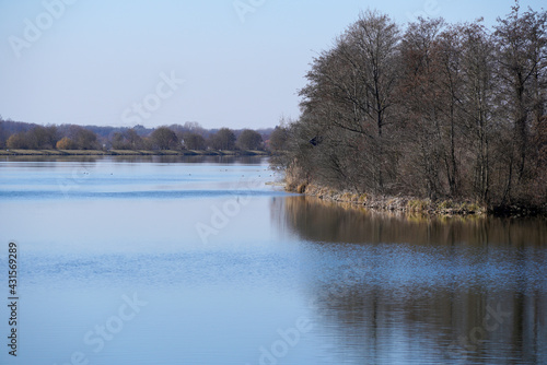 Bank of a river in Bavaria Photographed in detail