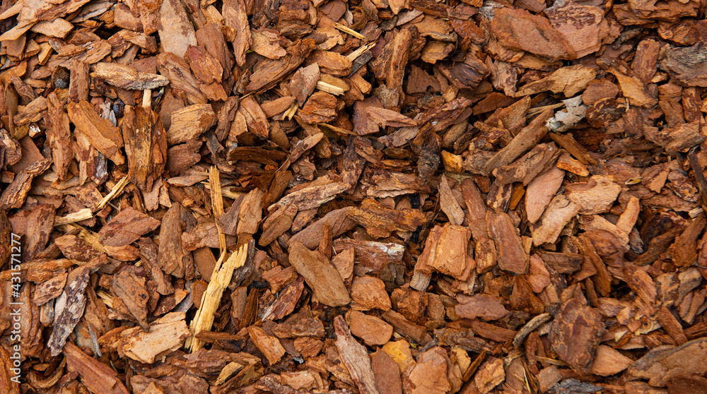 Background made of pieces of pine, cedar or oak bark Background made of pieces of pine, cedar or oak bark