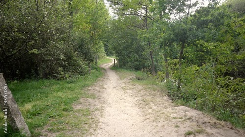 traveling on a brown dirt trail with green vegetation and clear sky. country road through the forest next to the river