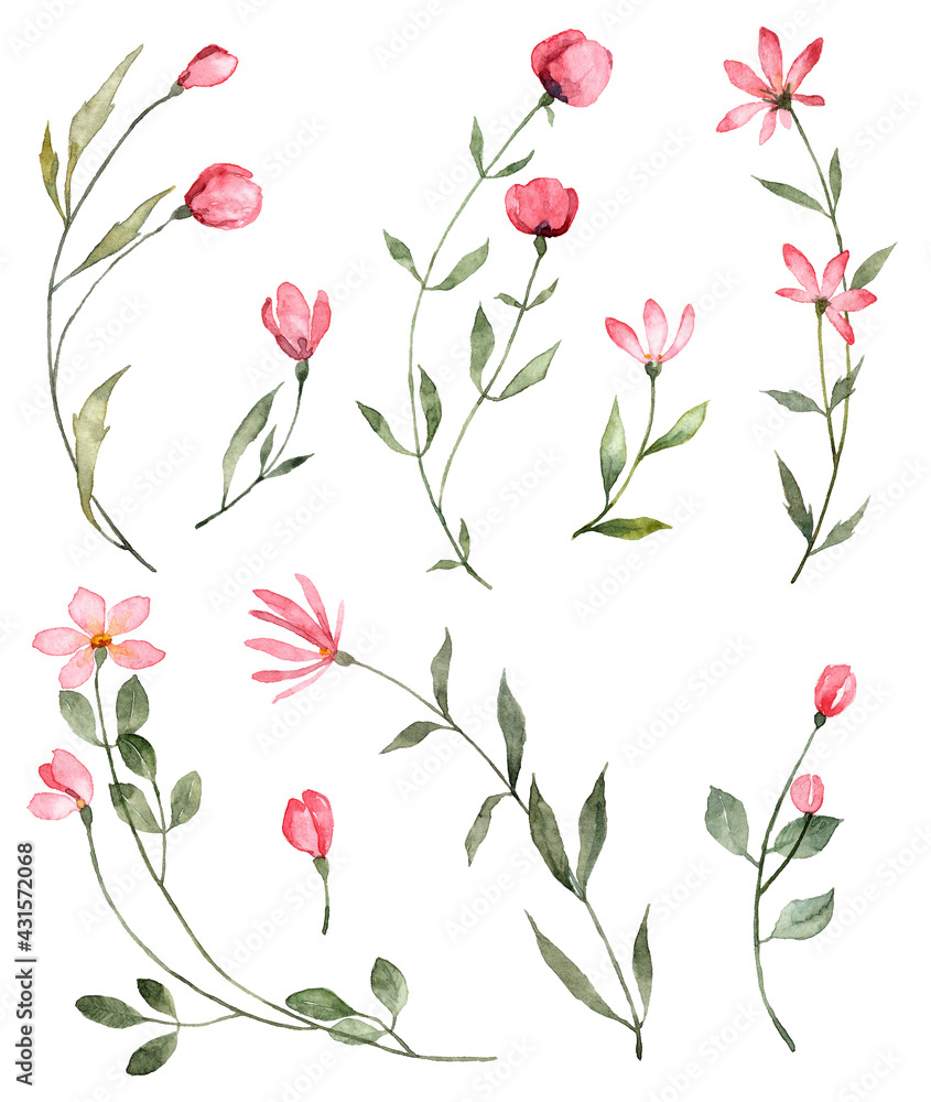 Set of hand painted watercolor pink flowers Set of hand painted watercolor pink flowers
