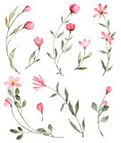 Set of hand painted watercolor pink flowers
