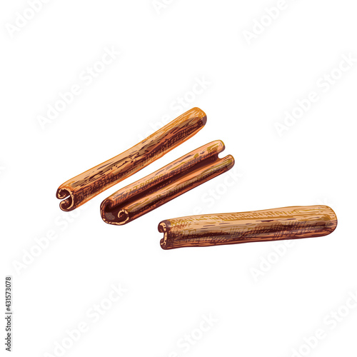 Cinnamon stick set. Vintage vector hatching color hand drawn illustration