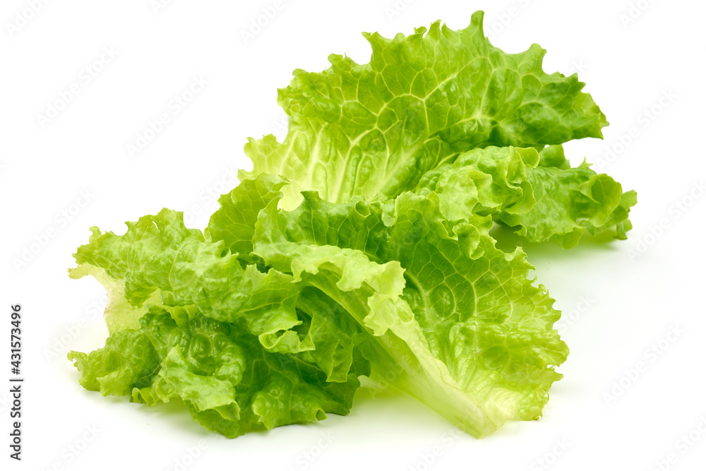Lettuce Salad leaf, isolated on white background. High resolution image. Lettuce Salad leaf, isolated on white background. High resolution image.