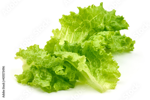 Lettuce Salad leaf, isolated on white background. High resolution image.
