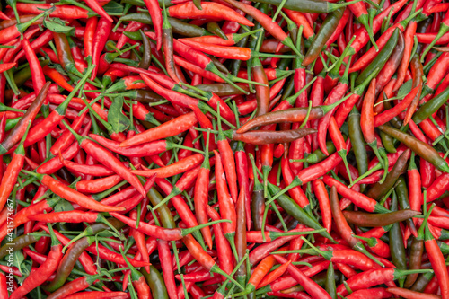 Fresh red chili pepper background. © Achira22