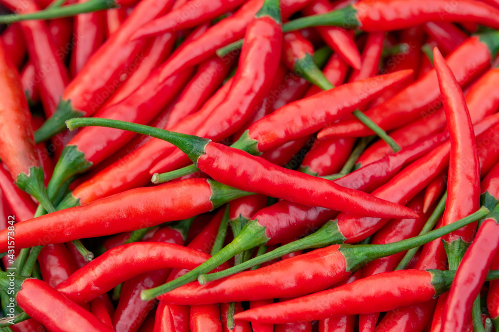 Fresh red chili pepper background.