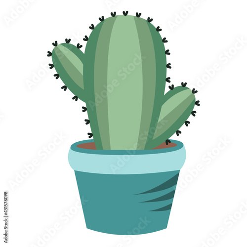 Cactus in a blue pot