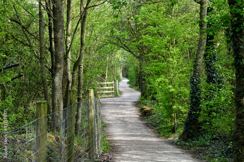 Footpath in wood, Ryton Pools Country Park, Ryton-on-Dunsmore, England, UK