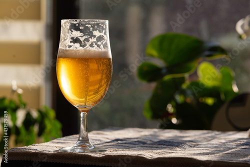 Delicious Beer in Glass photo