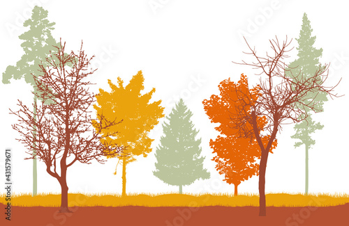 Autumn woodland, silhouette of bare tree, trees with leaves and spruce and pine. Beautiful nature, landscape. Vector illustration