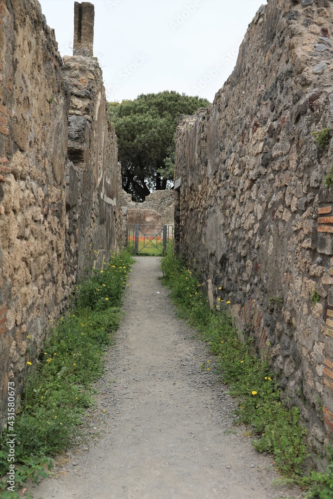 Way in ancient city of Pompeii, Italy