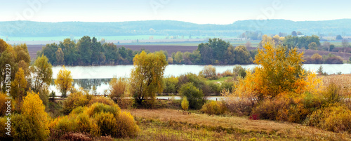 Autumn landscape with colorful trees and bushes on the shore river and forest in the distance, panorama. Golden autumn © Volodymyr