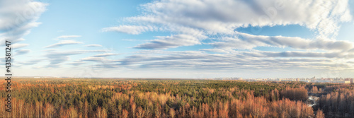 Large spring forest and dis...
