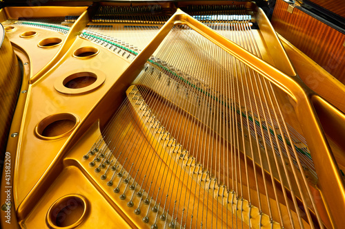 Εκτύπωση καμβά piano deck close view, chords and other parts, grand piano musical instrument
