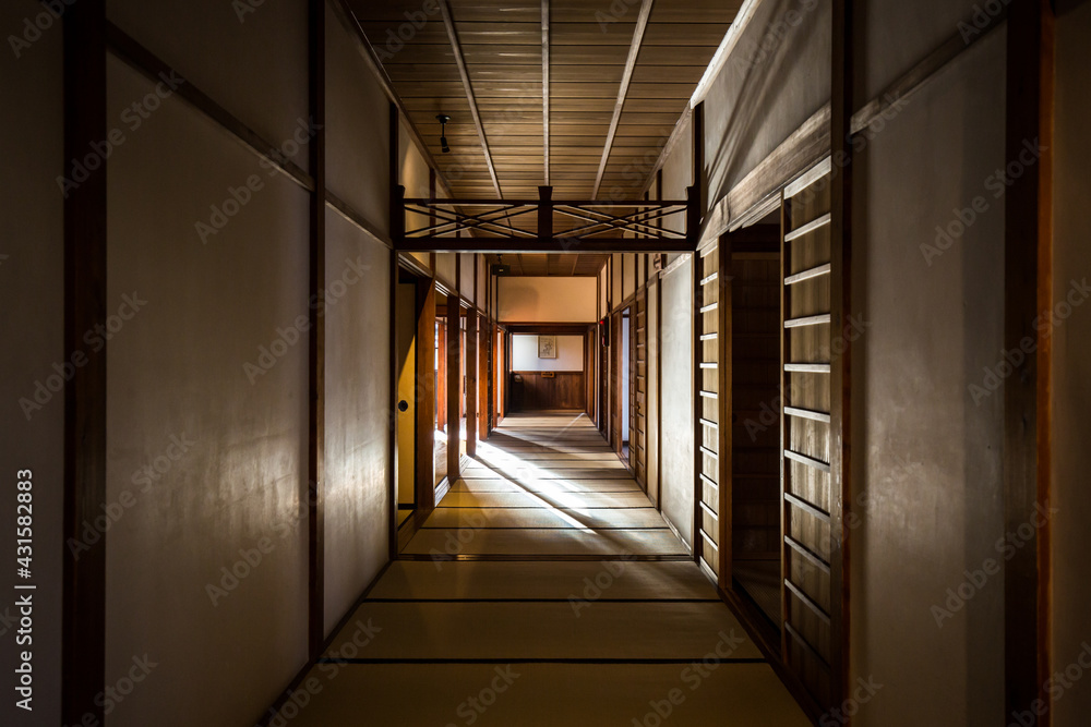 Shaft of light across dimly lit shadowy corridor with tatami mat flooring within old Japanese samurai building.