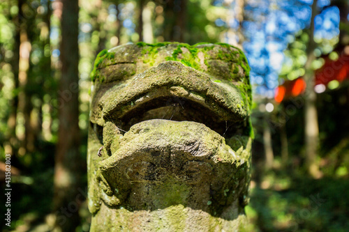 Stone Lion dog statue covered in green moss in a Japanese shrine within a forest in Takayama, Japan.