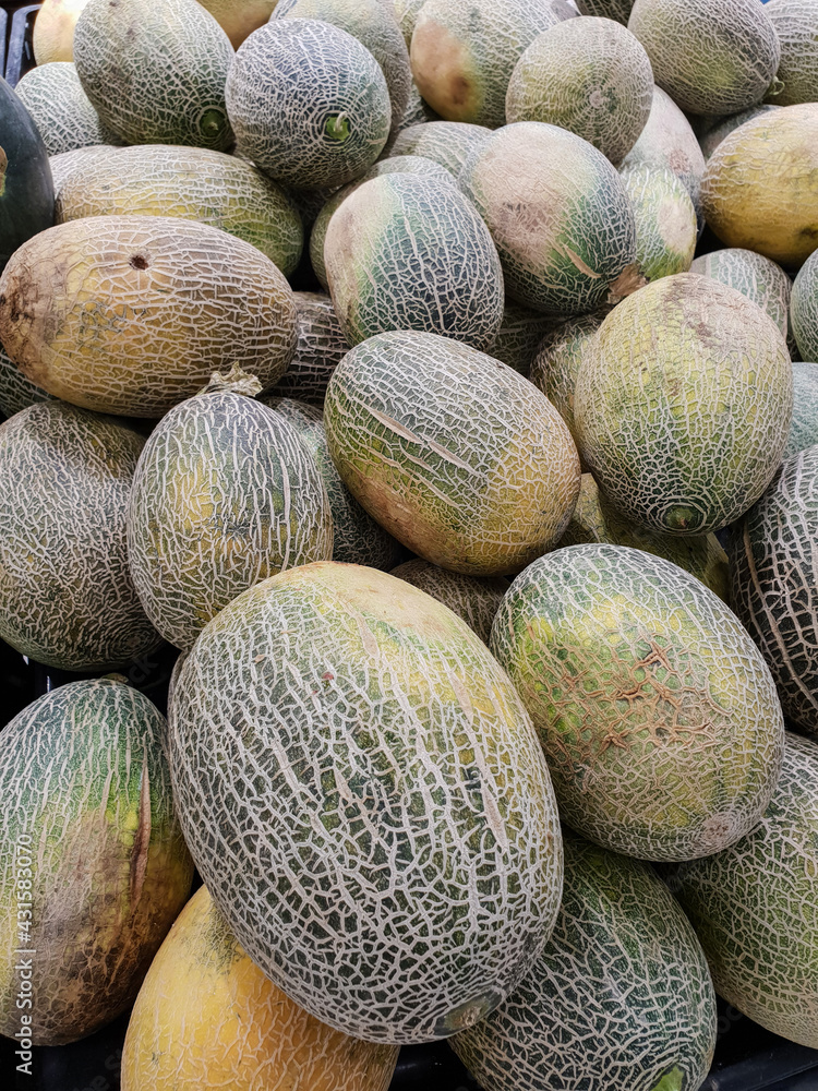 Fresh harvest Cantaloupe melon sold at local market