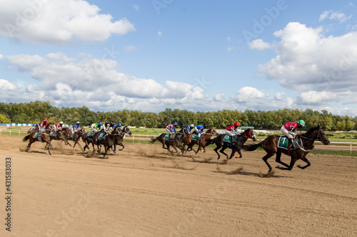 racetrack horse racing jockey approaching the finish line, sports with horses, riding a stallion