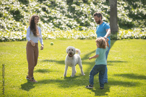 Happy family on summer walk. Father mother and child with dog walking in the Park and enjoying the beautiful nature.