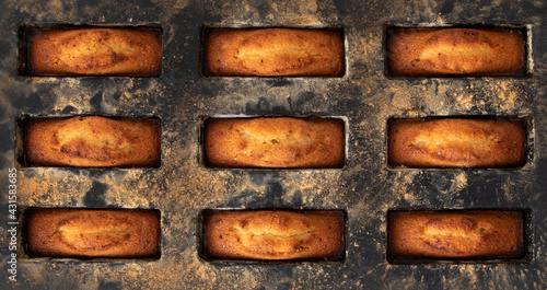 Traditional French pastries in molds - financier cake after baking - beautiful texture and background